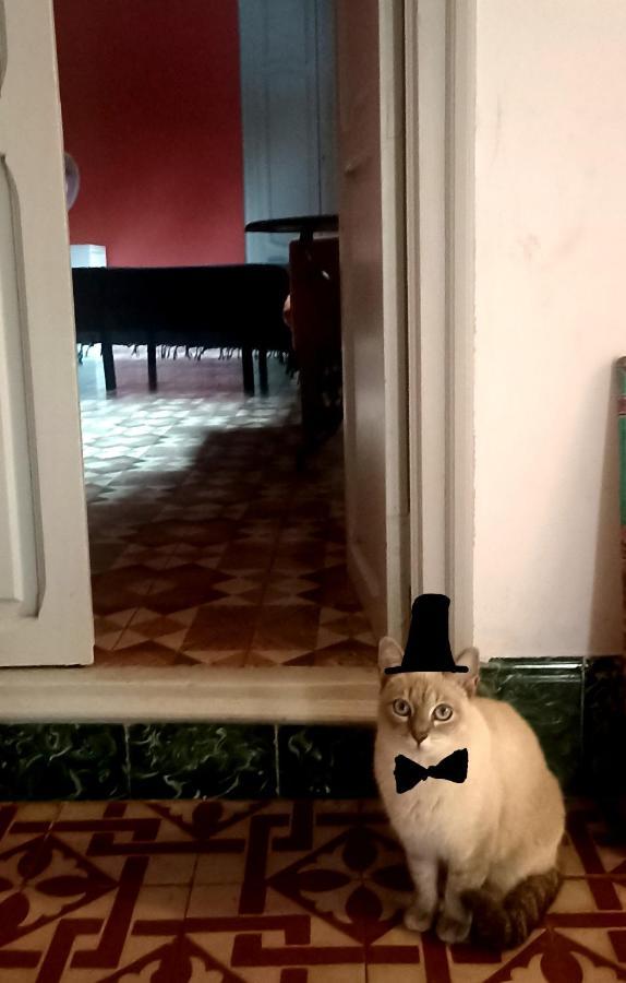 Casa Artistica Bed and Breakfast Gandía Εξωτερικό φωτογραφία